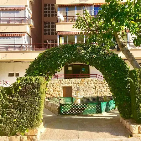 Piscis Of The Sea Benidorm